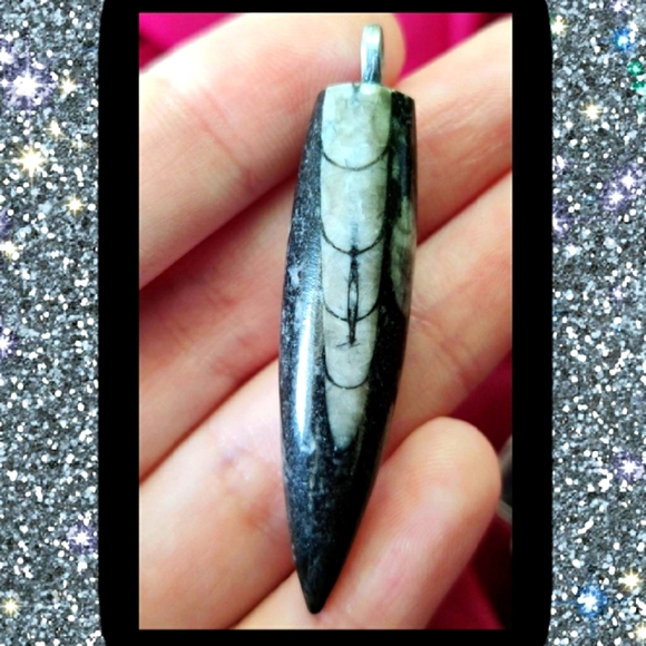 Orthoceras fossil pendant necklace #018 - Picture 3 of 3
